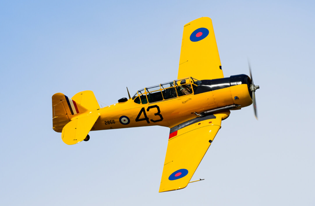Harvard 4